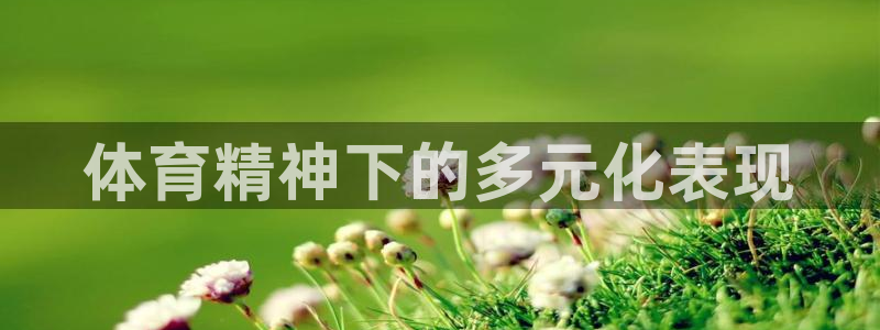 千亿国际官网下载招商电话号码查询：体育精神下的多元化