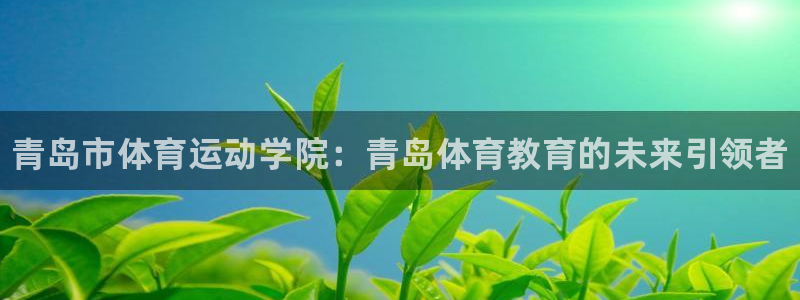 千亿国际官方正版app集团logo：青岛市体育运动学