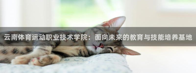 千亿国际官方正版app娱乐平台：云南体育运动职业技术