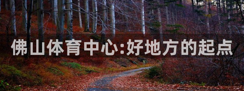 千亿国际官网下载招商：佛山体育中心:好地方的起点