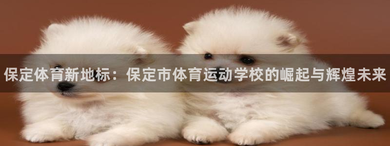 千亿国际官网下载娱乐：保定体育新地标：保定市体育运动