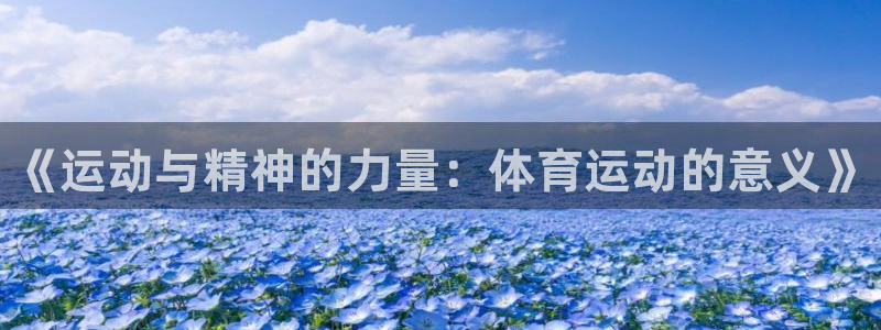 千亿国际官方正版app代理：《运动与精神的力量：体育