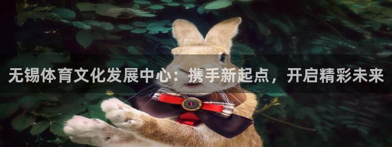 千亿国际官网下载招商电话地址是多少：无锡体育文化发展
