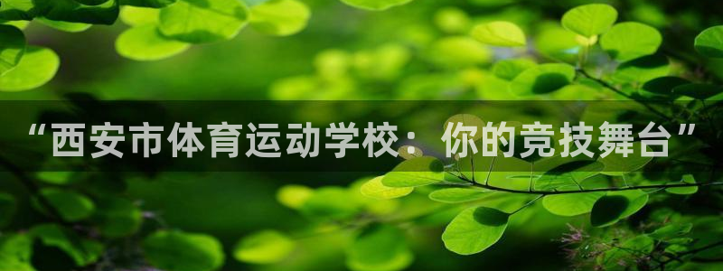 千亿国际官方正版app集团E.ON：“西安市体育运动