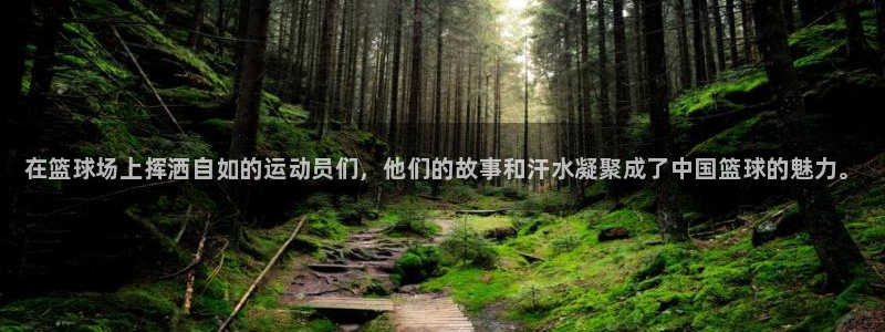 千亿国际官网下载开户