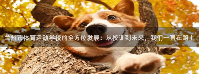 千亿国际官网下载招商电话