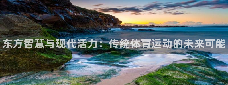 德国千亿国际官方正版app集团：东方智慧与现代活力：传统体育
