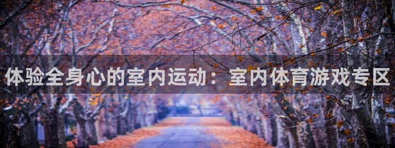 千亿国际官网下载招商电话地址：体验全身心的室内运动：室内体育
