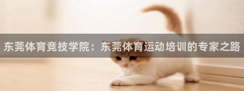 千亿国际官方正版app集团官网首页网址：东莞体育竞技学院：东