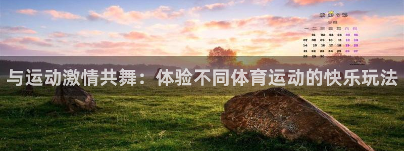千亿国际官方正版app新能源：与运动激情共舞：体验不同体育运