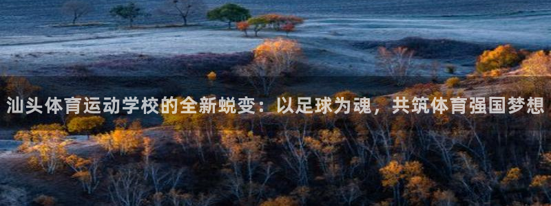 千亿国际官网下载注册：汕头体育运动学校的全新蜕变：以足球为魂