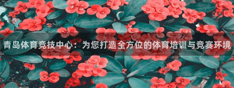 千亿国际官网下载招商电话地址查询：青岛体育竞技中心：为您打造
