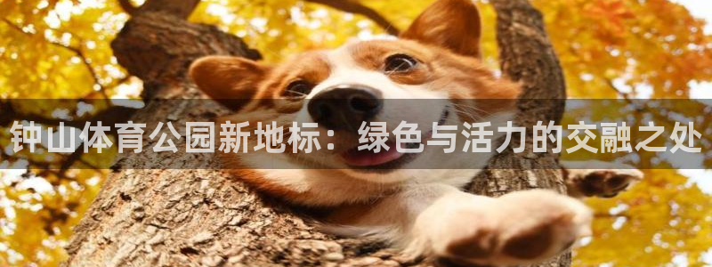 千亿国际官网下载招商电话号码查询是多少