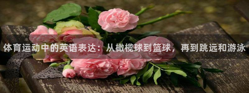 千亿国际官方正版app娱乐是那个系列的台子：体育运动