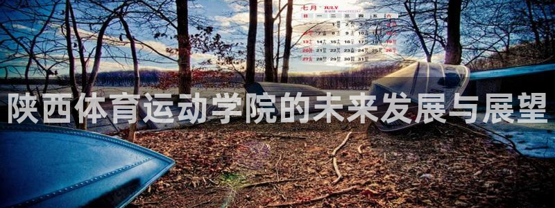 千亿国际官网下载软件：陕西体育运动学院的未来发展与展