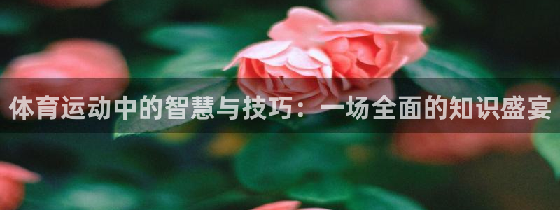 千亿国际官网下载招商电话号码是多少：体育运动中的智慧