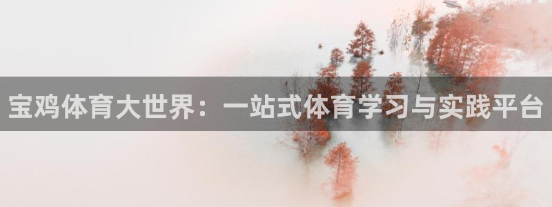 千亿国际官方正版app官方：宝鸡体育大世界：一站式体
