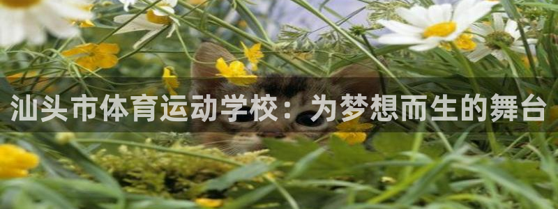 千亿国际官网下载开户：汕头市体育运动学校：为梦想而生
