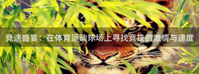 千亿国际官网下载官方客服电话:竞速盛宴:在体育运动球场上寻找
