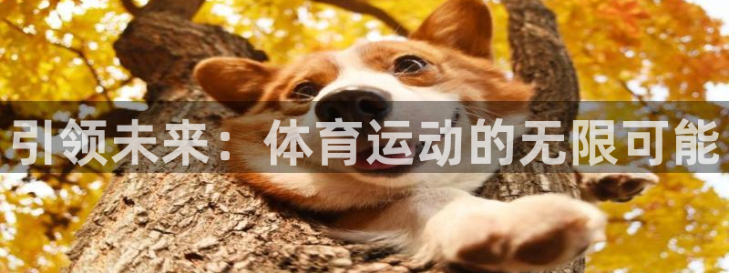 千亿国际官网下载平台是正规平台吗:引领未来:体育运动的无限可