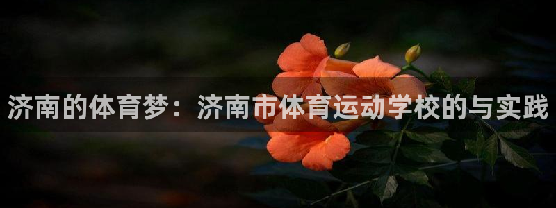 千亿国际官网下载软件