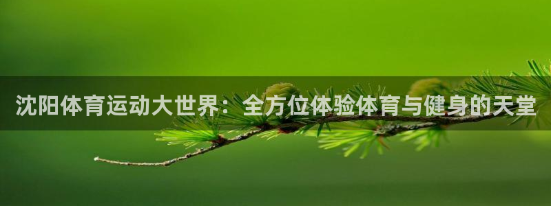 千亿国际官网下载平台：沈阳体育运动大世界：全方位体验