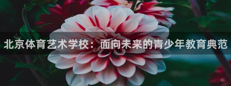  千亿国际娱乐：北京体育艺术学校：面向未来的青少年教育典范
