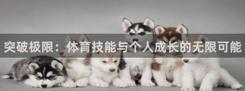 千亿网页国际版：突破极限：体育技能与个人成长的无限可能