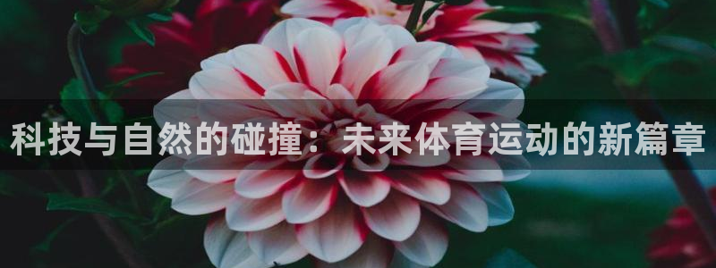  千亿集团董事长见到：科技与自然的碰撞：未来体育运动的新篇章