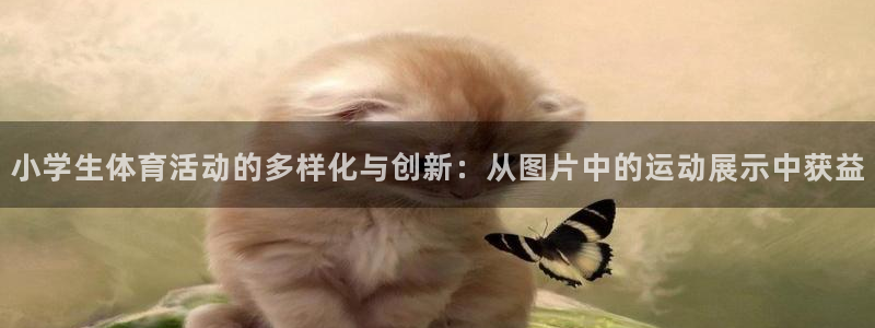千亿集团小说：小学生体育活动的多样化与创新：从图片中的运动展