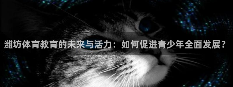 千亿控股集团：潍坊体育教育的未来与活力：如何促进青少年全面发