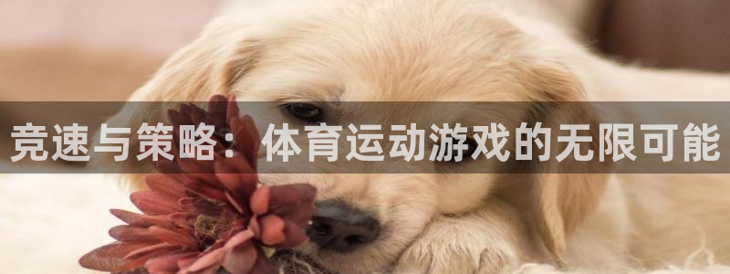 千亿官网网页版首页平台：竞速与策略：体育运动游戏的无限可能