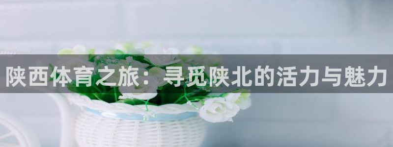 千亿体育：陕西体育之旅：寻觅陕北的活力与魅力